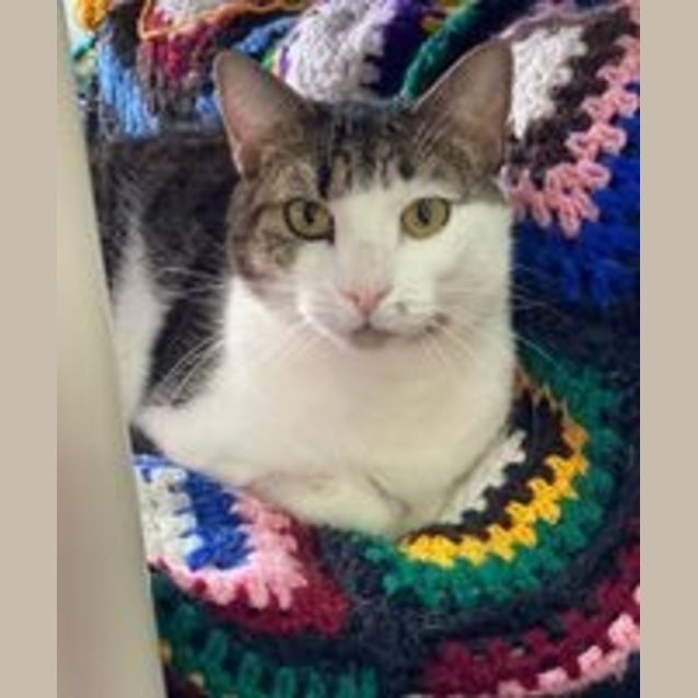 Photo of Ned   Meet Me At Pet Stock Mitcham