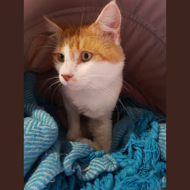 Photo of Tommy