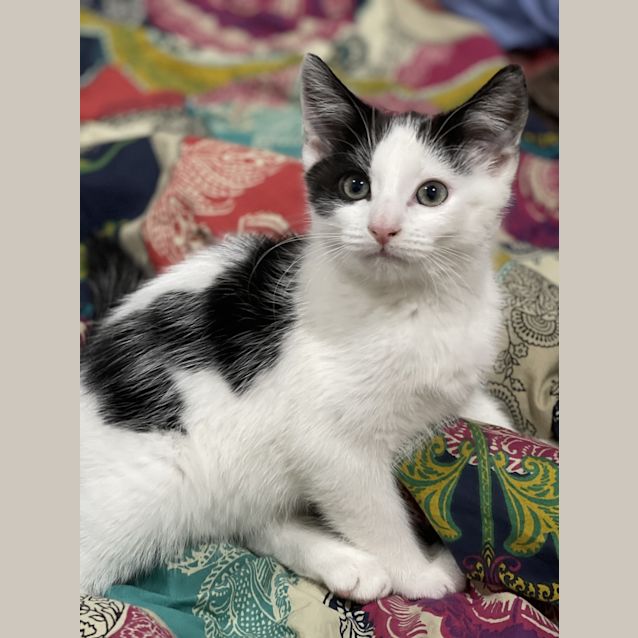 Photo of Danny/Rocky