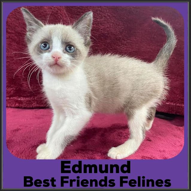 Photo of Edmund 
