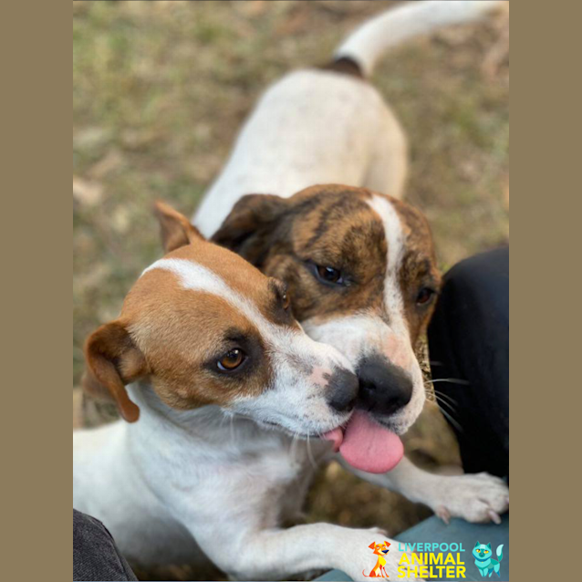 Photo of Stella & Star