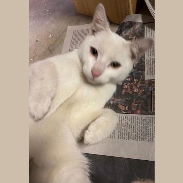 Photo of Apollo 