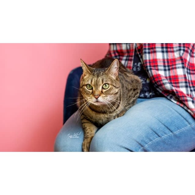 Photo of Larry 