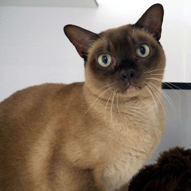 Photo of Gerald Sua006403