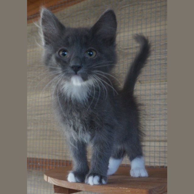 Photo of Sailor