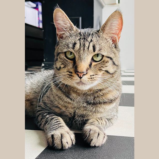 Photo of Matty   Located In East Melbourne