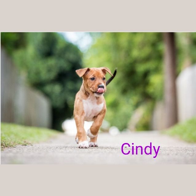 Photo of Cindy
