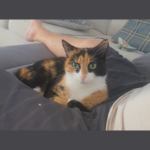 Photo of Willow