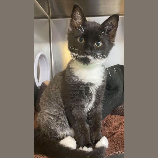 Photo of Bob