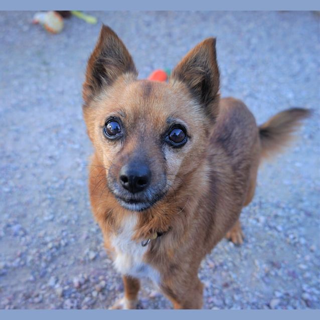 Photo of Mindy