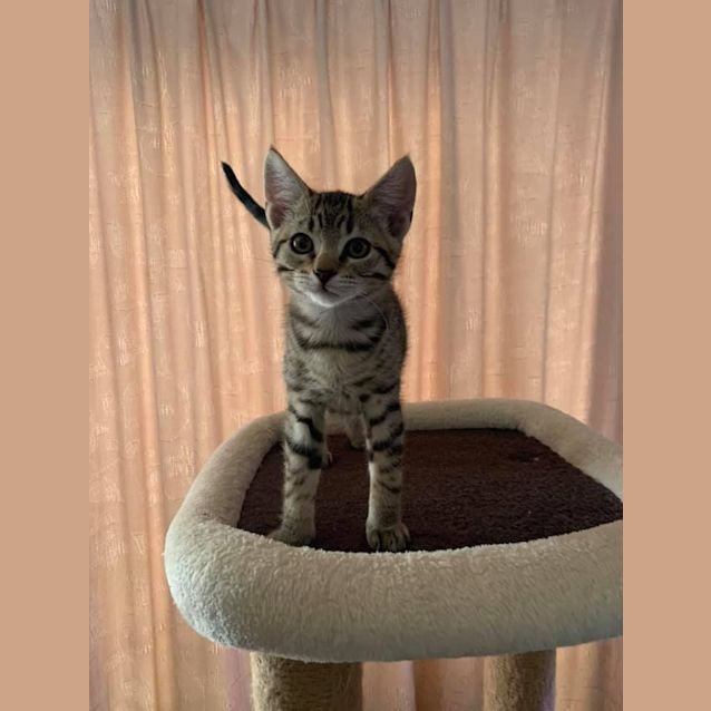 Photo of Evan