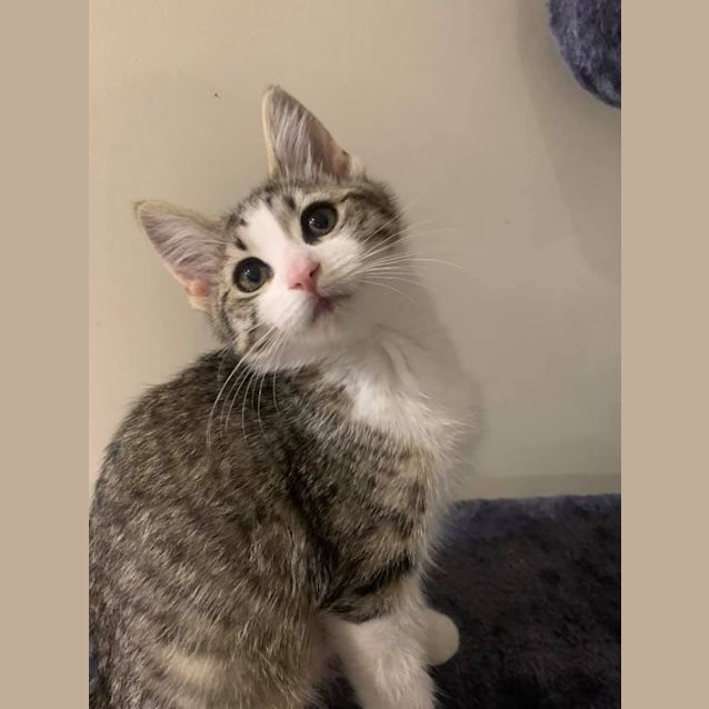 Photo of Matilda