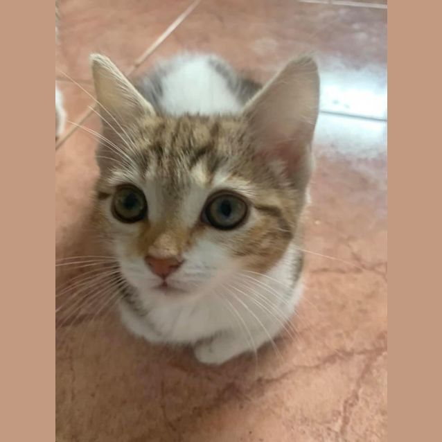 Photo of Hazel
