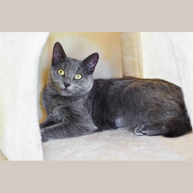 Photo of Noelani
