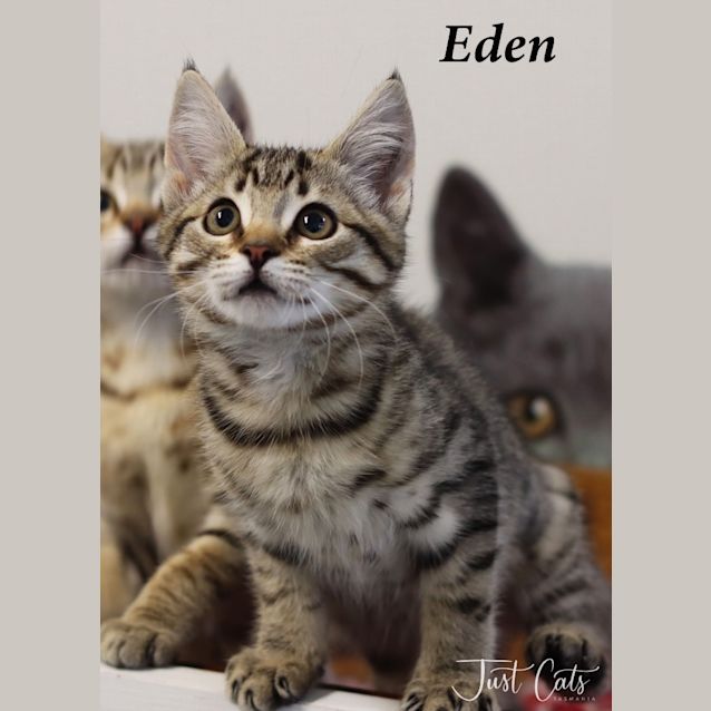 Photo of Eden