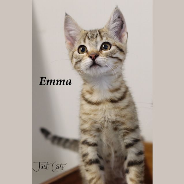 Photo of Emma
