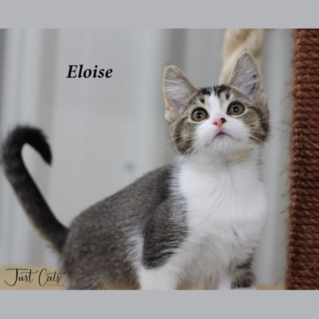 Photo of Eloise