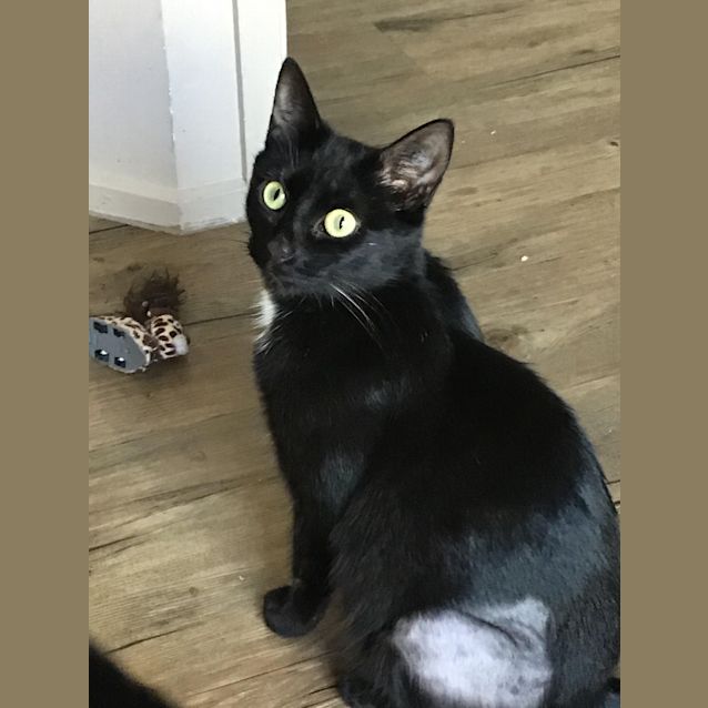 Photo of Chiquita