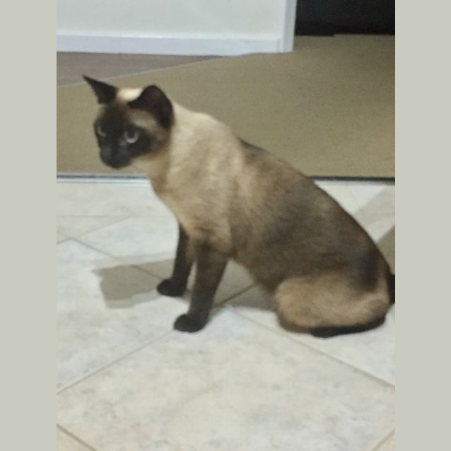 Photo of Lunar