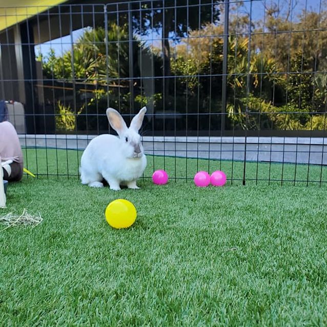 Photo of Greta Ginsbun (Was Amber Bunsen) 