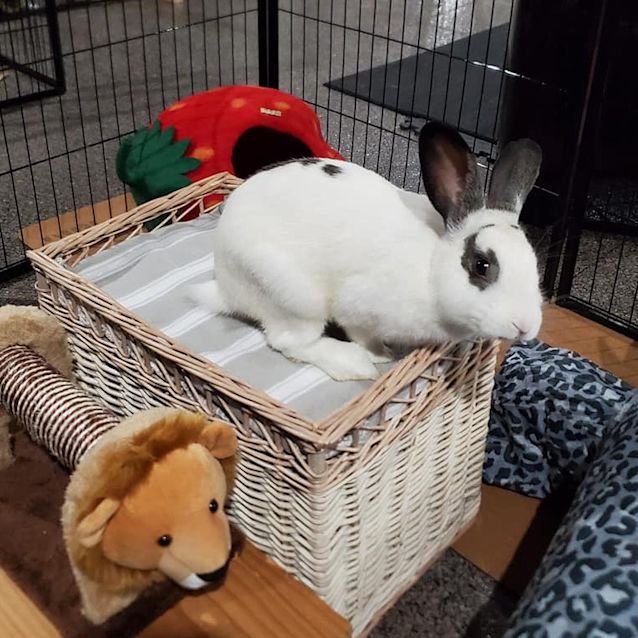 Photo of Luciano Kingsliff 