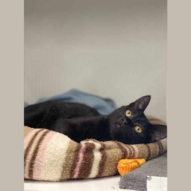 Photo of Libby