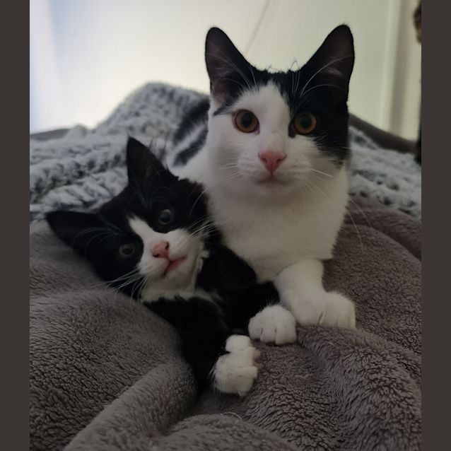 Photo of Benito And Tyson 