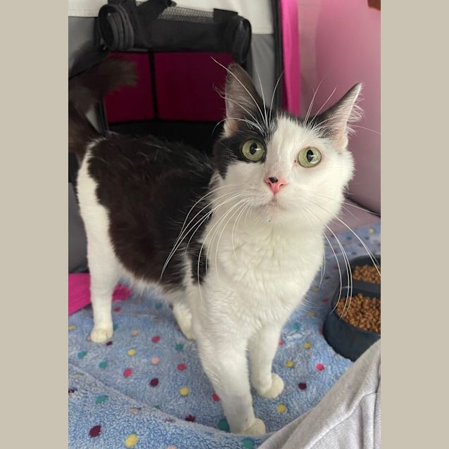 Photo of Molly