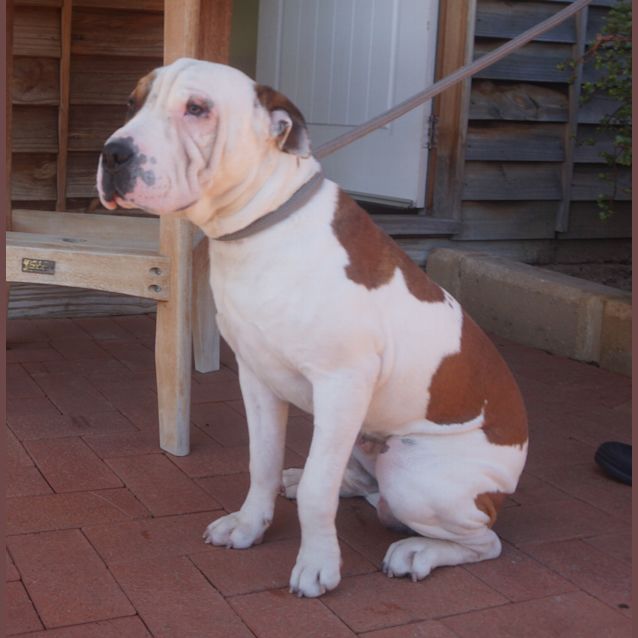 Photo of Maurice