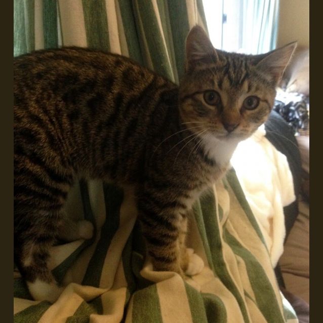 Photo of Beatrice