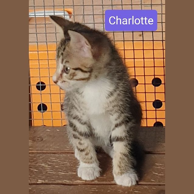 Photo of Murphy And Charlotte