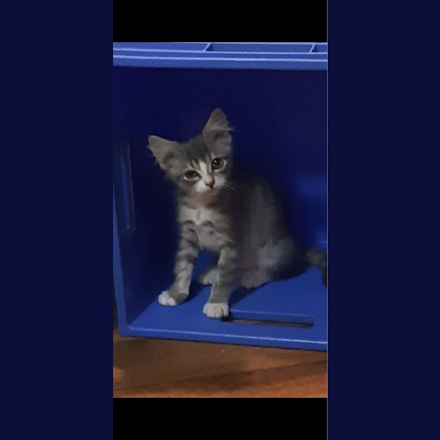Photo of Tilt 