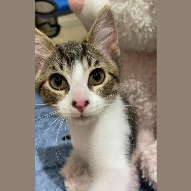 Photo of Bayek & Kassandra Creed