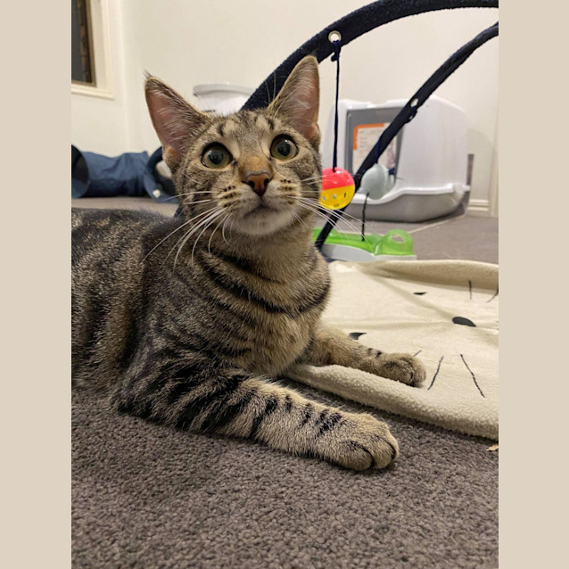 Photo of Junior 