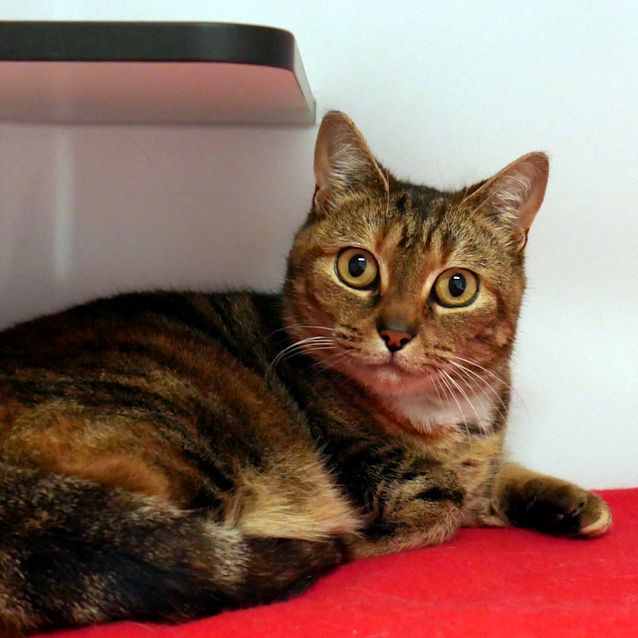 Photo of Sasha Sua006499