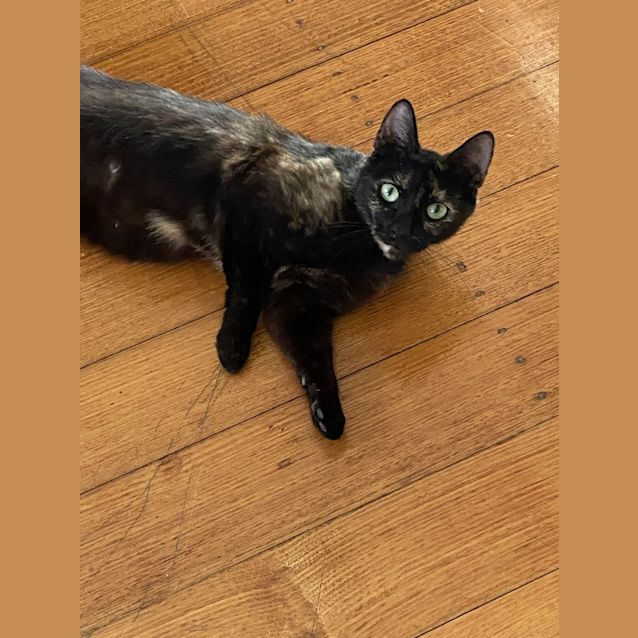 Photo of Sally