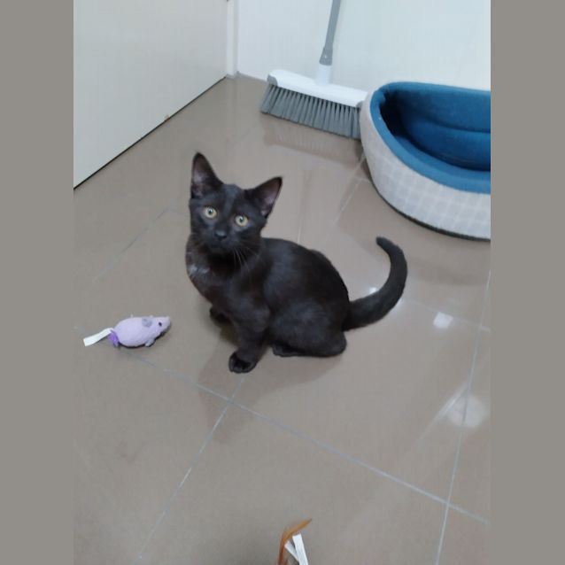 Photo of Seren