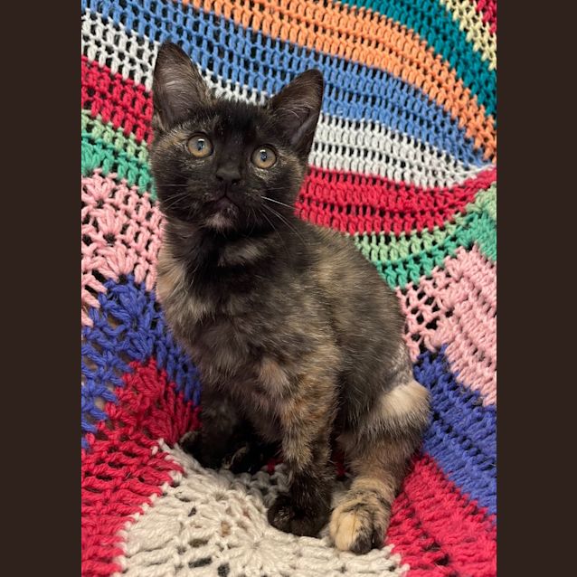 Photo of Giana