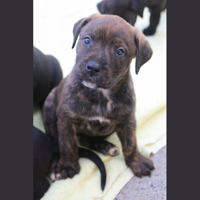Photo of Winnie