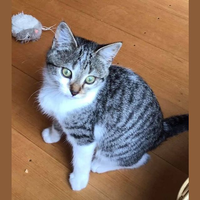 Photo of Elsie