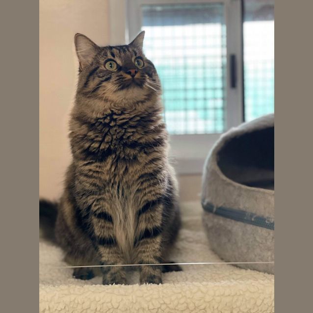 Photo of Mia