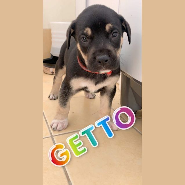 Photo of Getto
