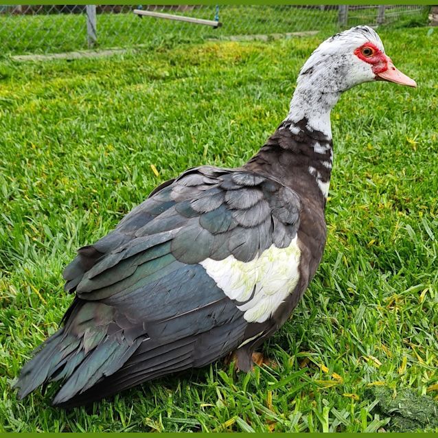 Photo of Doreen