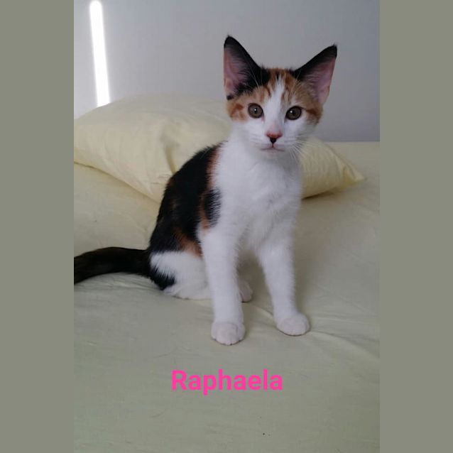 Photo of Raphaela