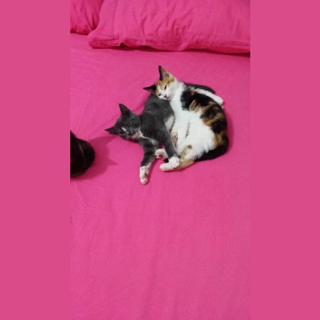 Photo of Leonarda