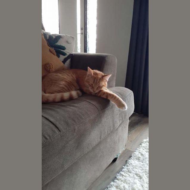 Photo of Paco 🧡