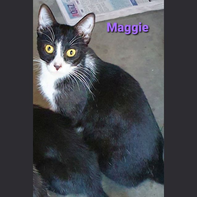 Photo of Maggie