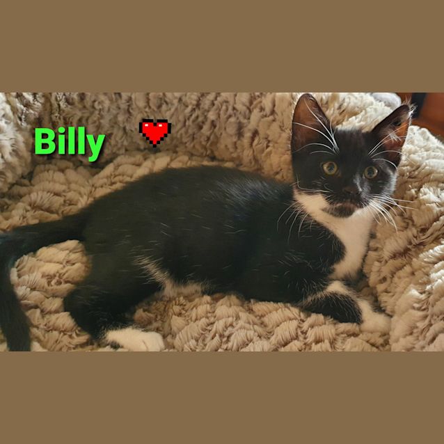 Photo of Billy