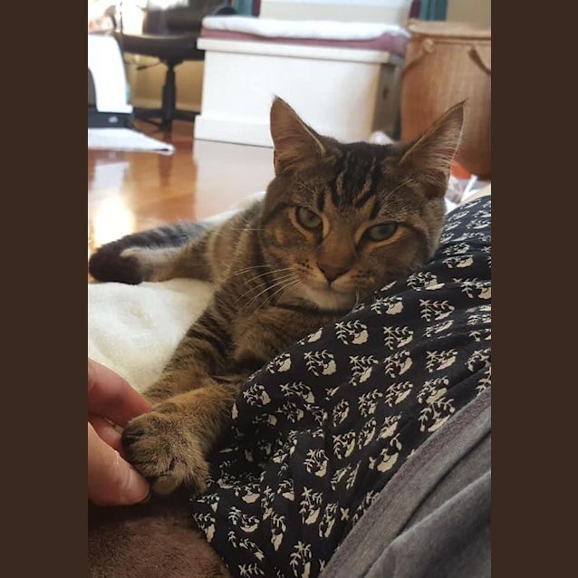 Photo of Ace