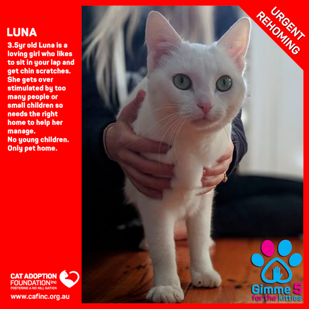 Photo of Luna